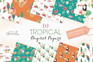Seamless Patterns Tropical Flamingo Set
